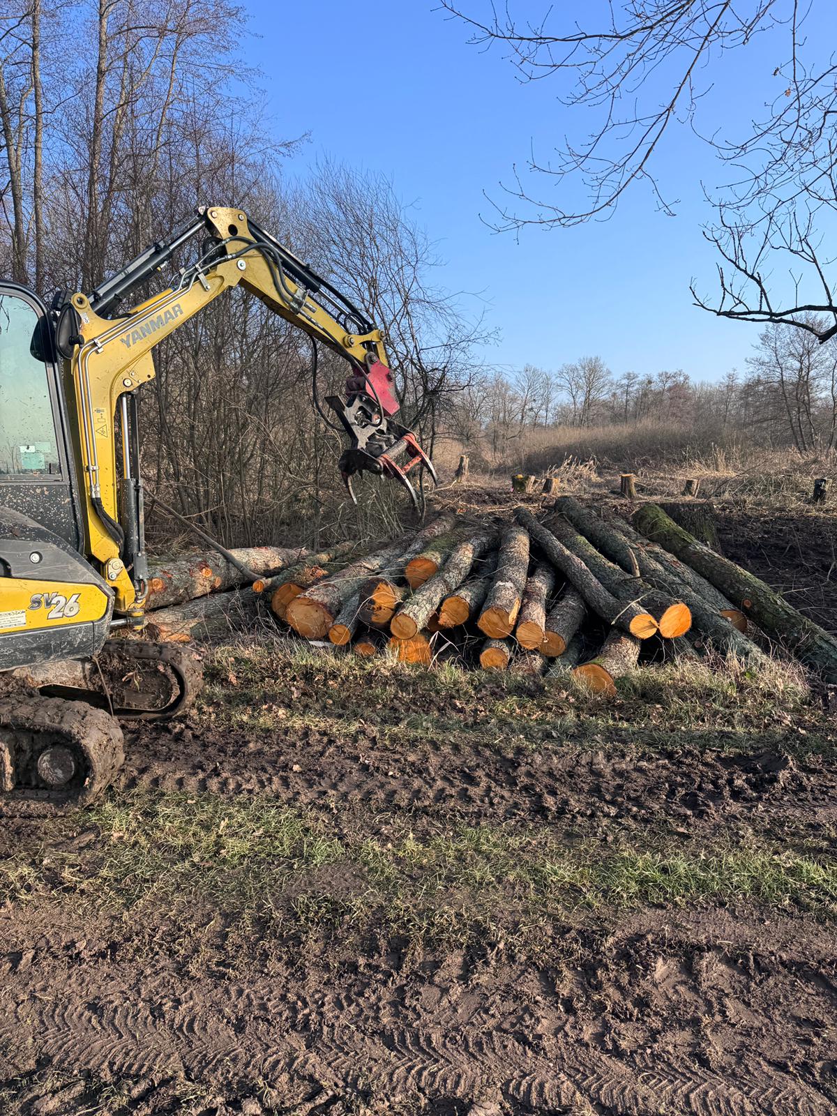Forstarbeiten mit einem Bagger im Wald